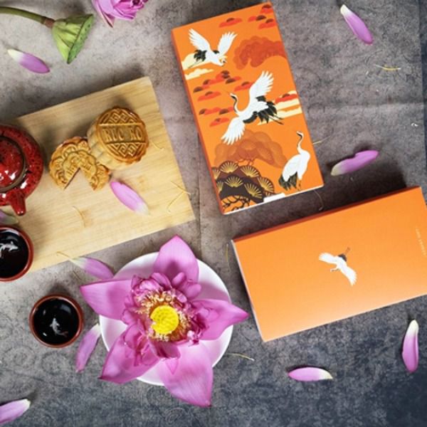 Mẫu hộp đựng Pizza nổi bật TT-01