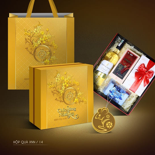 Mẫu túi thời trang couche tb 01